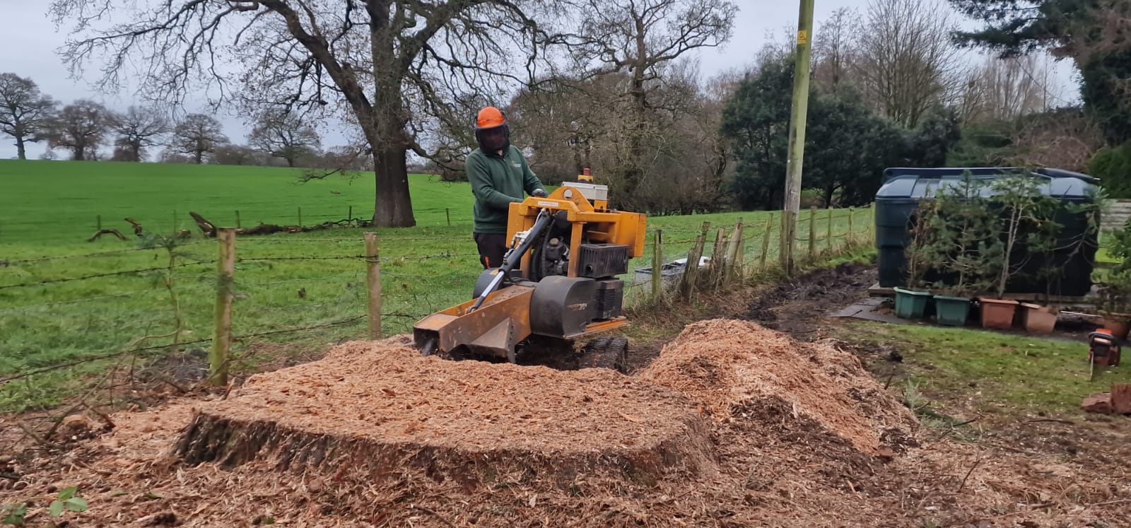 Tree stump removal in Kingston with stump grinder